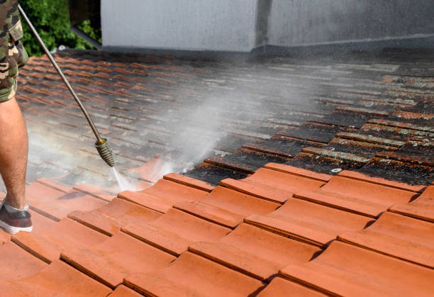 Best Affordable Pressure Washing  in Nyon Lake, CA