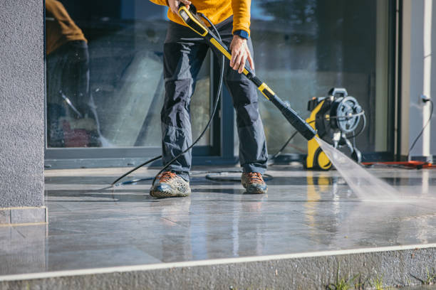 Best Exterior Home Cleaning  in Nyon Lake, CA
