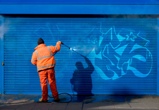 Best Residential Pressure Washing Services  in Nyon Lake, CA