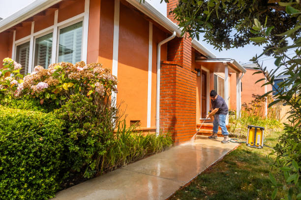 Best Power Washing Near Me  in Nyon Lake, CA