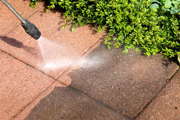 Best Pressure Washing Driveway  in Nyon Lake, CA